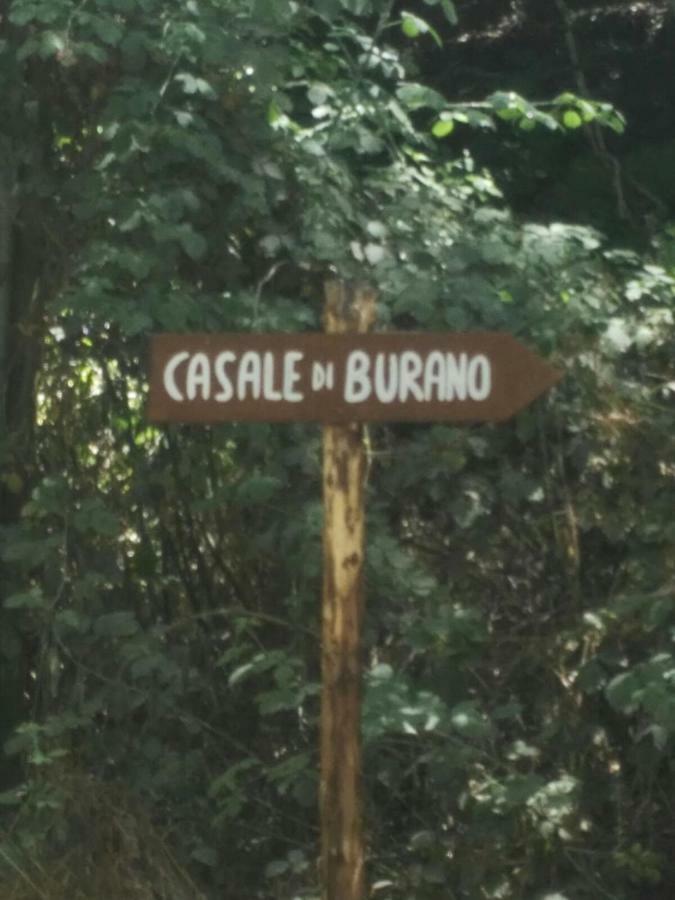 Casale Di Burano Appartement Onano Buitenkant foto